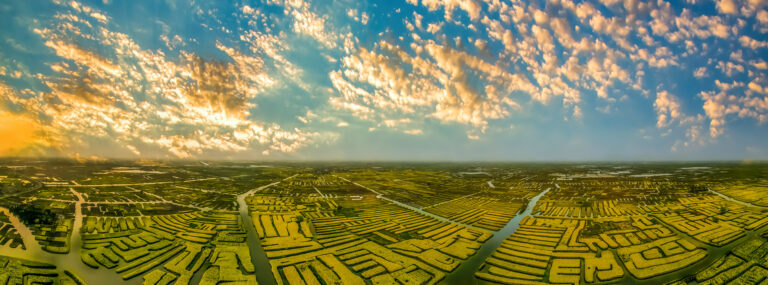 Yu Ningtai - Thousand-rape